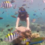 gallery-travelpulauseribu.biz.id (3)